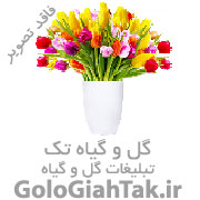 فروش انواع گل و‌گیاه طبیعی و مصنوعی