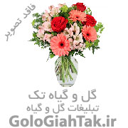 فروشگاه گل و گیاه خرید و فروش گل و گیاه