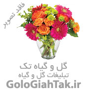 گلکده الیزیا