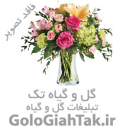 گل و گیاه نادی